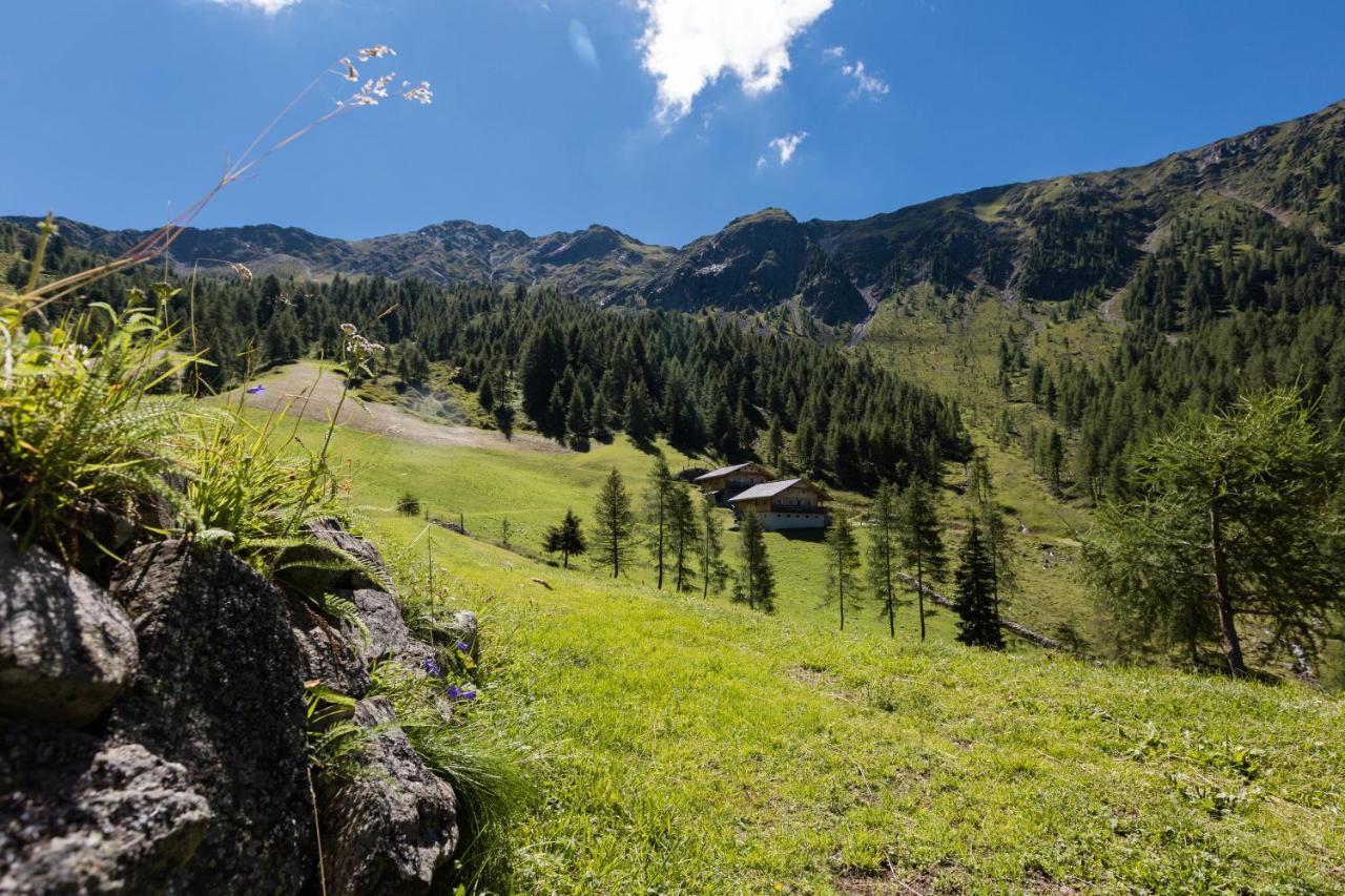 Feldererhof Apt Almenblick Santa Maddalena in Casies Exterior photo